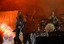 Zakk Wylde 28